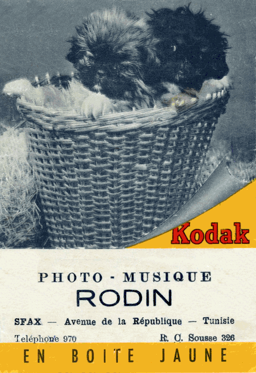 Photos Rodin